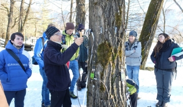 Dal verde ornamentale al tree climbing, tutti i corsi 2017 della Fondazione Mach