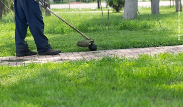FORMAZIONE - Tappeti erbosi: nuovi corsi della Scuola Agraria del Parco di Monza