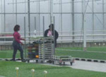 Ancora pochi giorni per richiedere l&rsquo;indennit&agrave; di disoccupazione agricola