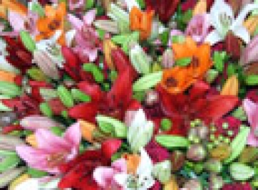 Sciopero Tir: bloccate le compravendite a Taviano e Leverano