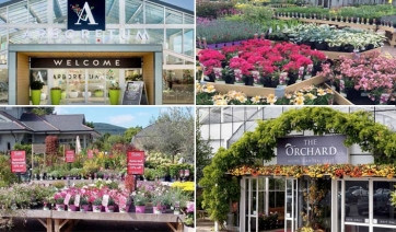 AICG: a giugno un viaggio studio tra i garden center in Irlanda