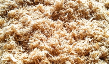 Fibra di Legno: soluzione  sostenibile e possibile
