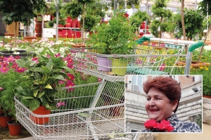 Bellanova conferma: vendita al dettaglio di fiori e piante consentita