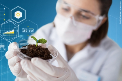 Piante e fiori, dove batte il cuore dei ricercatori?