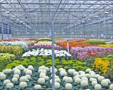 CAMPANIA - Nuove norme per gli impianti serricoli