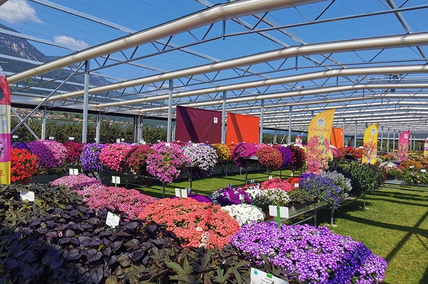 #SaveTheDate 7-9 Settembre 2023, tornano le “Porte Aperte” da Psenner