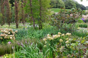 “Floriade” 2012: le 5 aree tematiche e le piante in rassegna