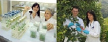 Ricerca: Trentino capitale della genomica vegetale