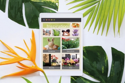 Piante e fiori, catturare attenzione sul web: negli Usa fanno cos&igrave;