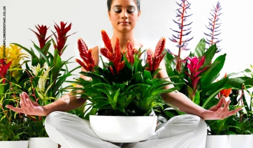 Volersi bene con piante e fiori