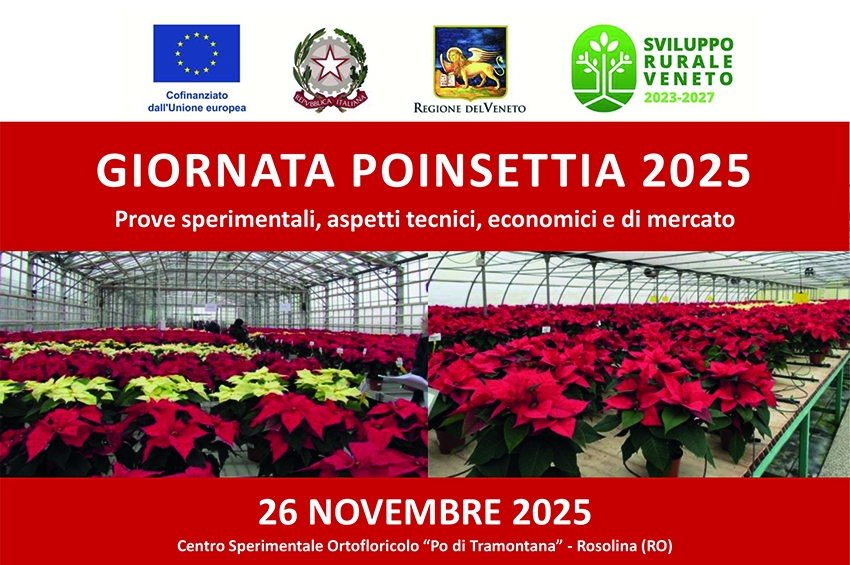 Il 26 Novembre la Giornata Poinsettia 2025 al Centro Sperimentale Ortofloricolo “Po di Tramontana”