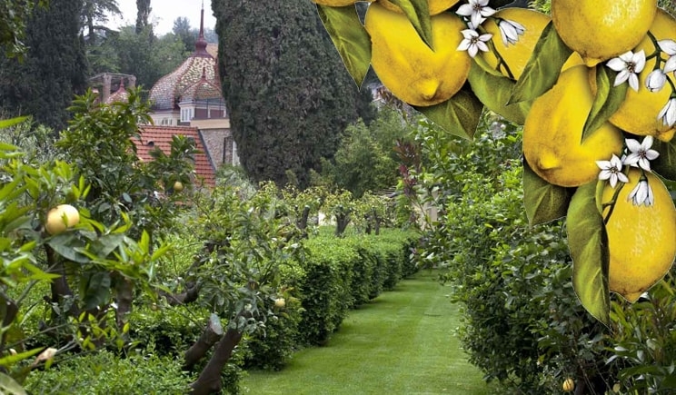 Alassio (SV): 8 ottobre, ultimo appuntamento con “Una domenica in giardino”