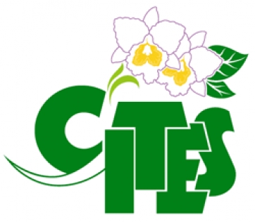 Specie protette: nasce a Roma il museo  del crimine ambientale