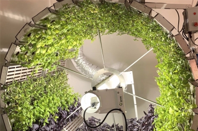 Nuove frontiere del vertical farming: la geoponica rotativa di Futura Ga&iuml;a
