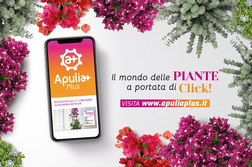 APULIAPLANTS LANCIA IL PROGETTO “APULIAPLUS”