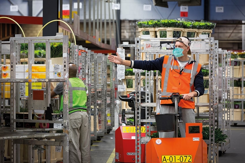 2020 meno peggio del previsto per Royal FloraHolland