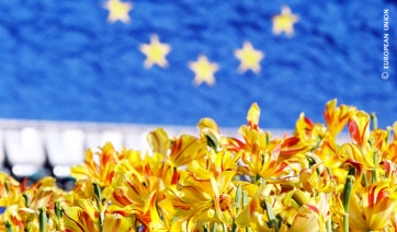 Goditelo, &egrave; europeo!