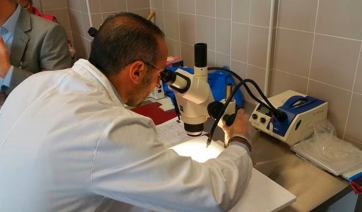 Lombardia: il Servizio Fitosanitario ERSAF accreditato per l&rsquo;ispezione sulle importazioni di prodotti vegetali