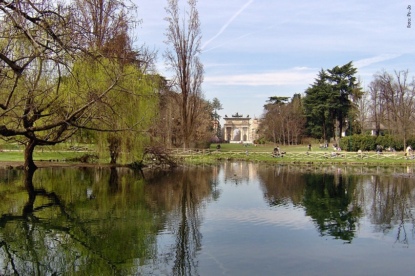 Alberi in città: la FAO promuove Mantova, Milano e Torino