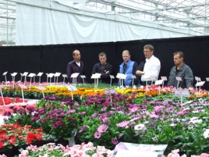 Conto alla rovescia per i FlowerTrials 2011 in Olanda