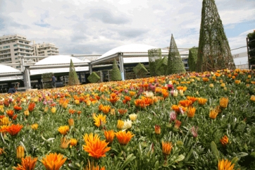Un mare di fiori per dare il benvenuto ai visitatori di Euroflora
