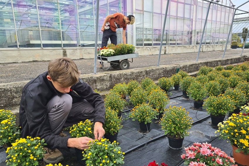 Percorsi dopo la scuola media: gli Open Day della Scuola di Minoprio