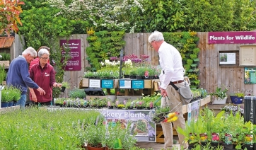 UK, continuano a fiorire le vendite nei garden center