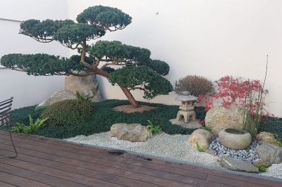 Nippon Tree porta il giardino giapponese tradizionale da Como all&rsquo;Alto Adige