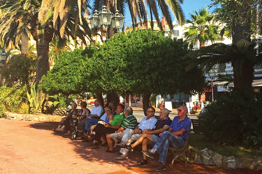 Le chiome degli alberi migliorano la salute (mentale) degli anziani