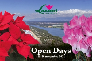 19 e 20 Novembre: Open Days Lazzeri a Sabaudia