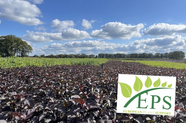 La fondazione European Plant Support si fa in tre per il vivaismo