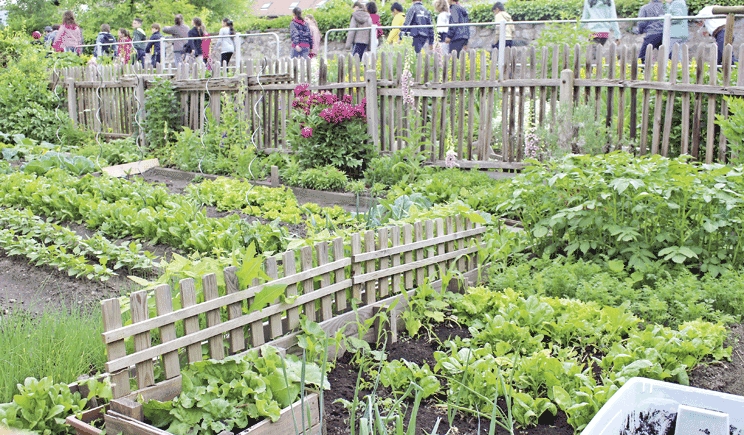 A Bologna ciclo di incontri dedicati al giardino e all’orto