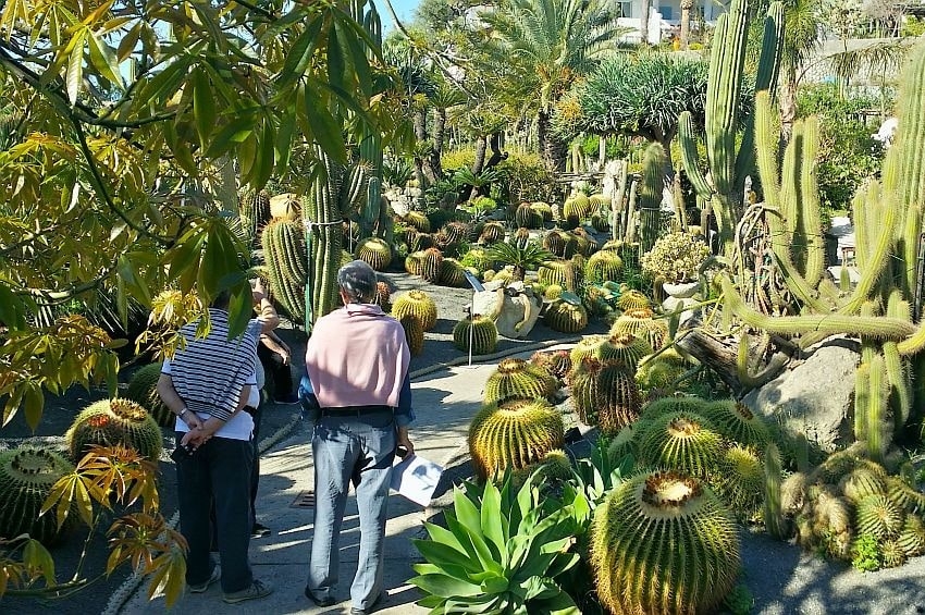 Primo weekend di Giugno: è di nuovo “Appuntamento in Giardino”