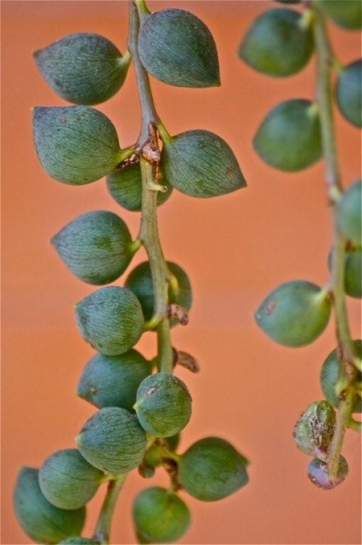 La bellezza della natura in uno scatto