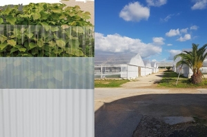 Gamma Elysol di Brianza Plastica: nuove soluzioni per la copertura di serre e vivai