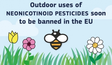 Api, pesticidi neonicotinoidi: l&rsquo;Ue estende il divieto