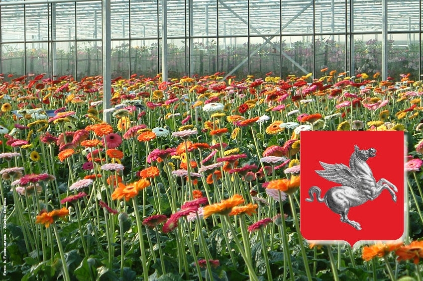 Coronavirus, dalla Regione Toscana 2,43 milioni al settore floricolo