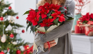 Un Natale di Stelle: 10 idee decorative di tendenza