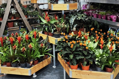 Organizzazione Orlandelli e Mara Verbena presentano la rivoluzione dell’area confezionamento di fiorerie e garden center