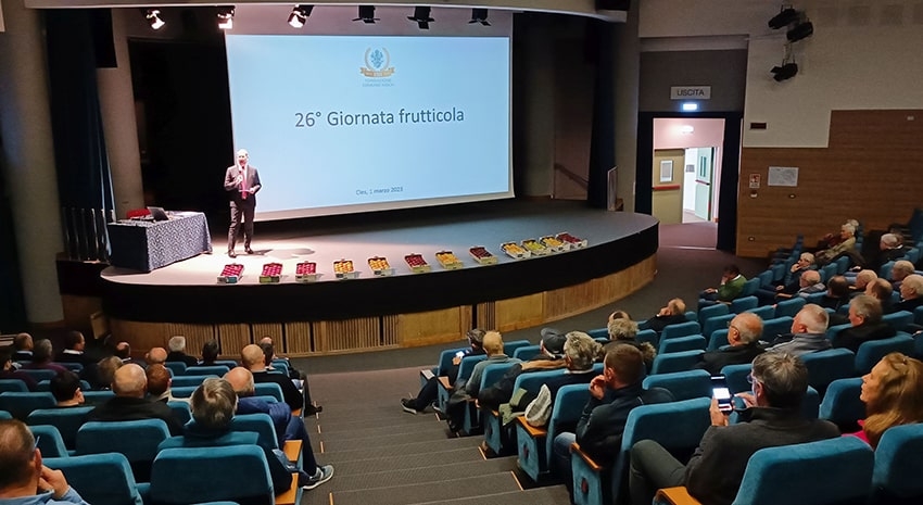 Scopazzi del melo in Trentino: 1,54% di piante colpite