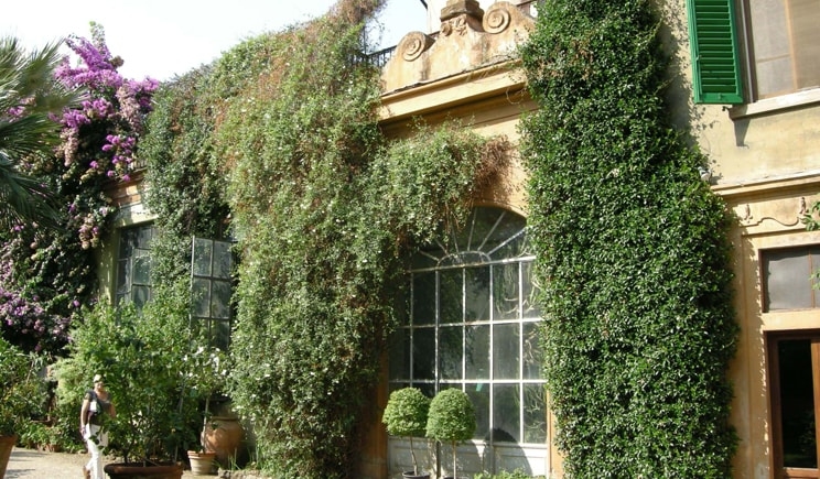Visite esclusive ai giardini fiorentini
