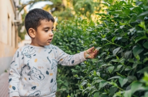 Verde e autismo: il potere delle piante per la promozione del benessere