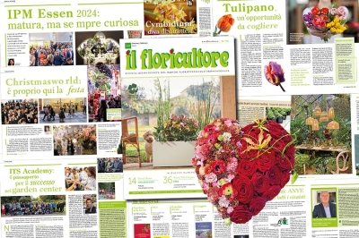 Squillino le trombe ed entri IL FLORICULTORE di Gennaio-Febbraio 2024, numero che apre il nostro sessantesimo anno!