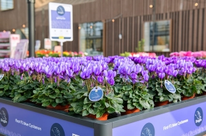 Schoneveld Breeding, un nuovo Web Shop dedicato all&rsquo;acquisto delle etichette