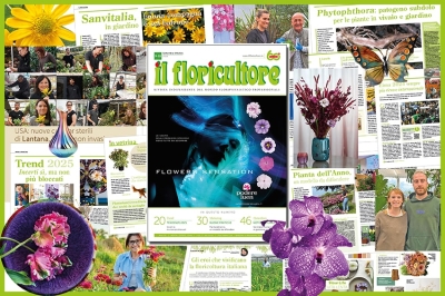 Vivace e colorato come l&rsquo;autunno: ecco Il Floricultore di Settembre-Ottobre 2024