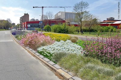 Via il cemento, a Milano arrivano i fiori