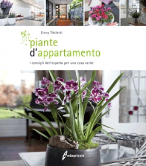 Piante d&#039;appartamento