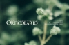 Con Orticolario 2025 alla riscoperta dell&rsquo;Eden