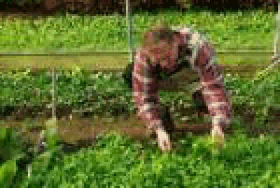 Corsi professionali last-minute a Monza