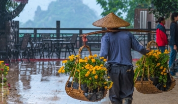 In Cina l&rsquo;Asta Royal FloraHolland si fa in tre